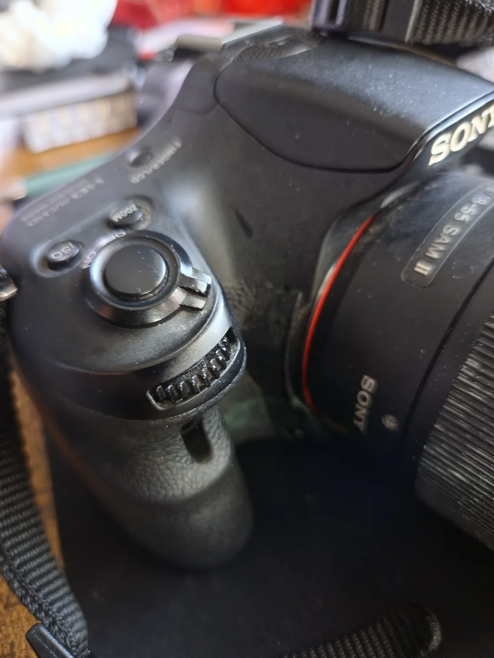 Sony Black DSLR Camera with Built-in Flash